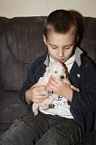 ENFANT ET CHIEN 237